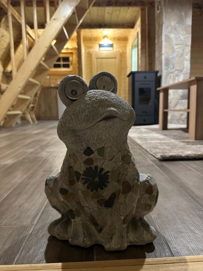 Frogland Apartment Zabljak  Ngoại thất bức ảnh